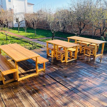 Biolocalia House Dobrogea Lägenhet Balotesti Exteriör bild
