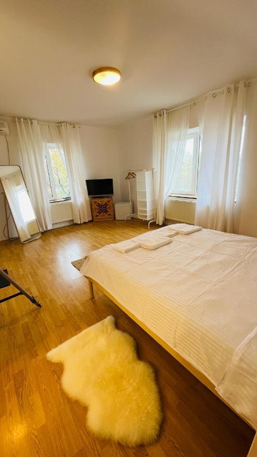 Biolocalia House Dobrogea Lägenhet Balotesti Exteriör bild